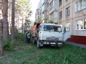 Вывоз веток со Строителей 30 и Марковцева 12А