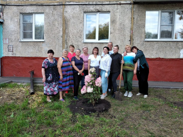 Субботник во дворе МКД пр. Ленинградский 47В, посадка саженцев.