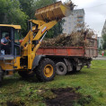 Вывоз веток пр. Ленинградский 47В