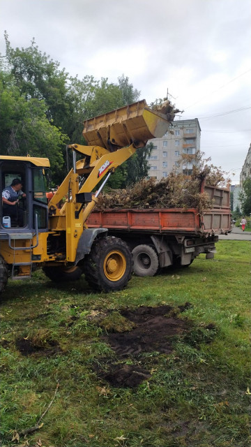 Вывоз веток пр. Ленинградский 47В
