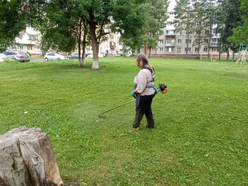 Покос травы