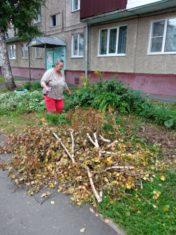 Распиловка веток