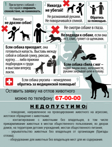 Внимание!