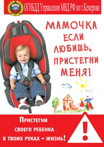 Безопасность дорожного движения