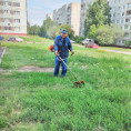 Покос травы на пр. Ленинградском 23Б и ул. Марковцева 12/1