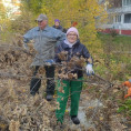 Вывоз веток пр. Ленинградский 47В