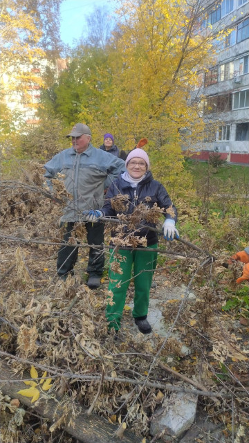 Вывоз веток пр. Ленинградский 47В