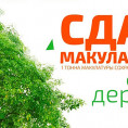 Сдай макулатуру – спаси дерево!